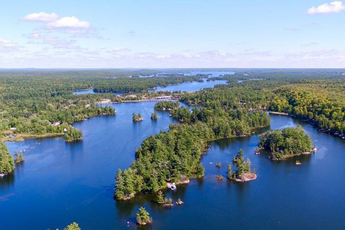 Lovesick Lake