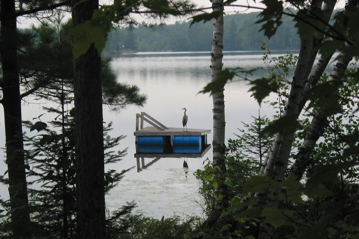 Big Cedar Lake